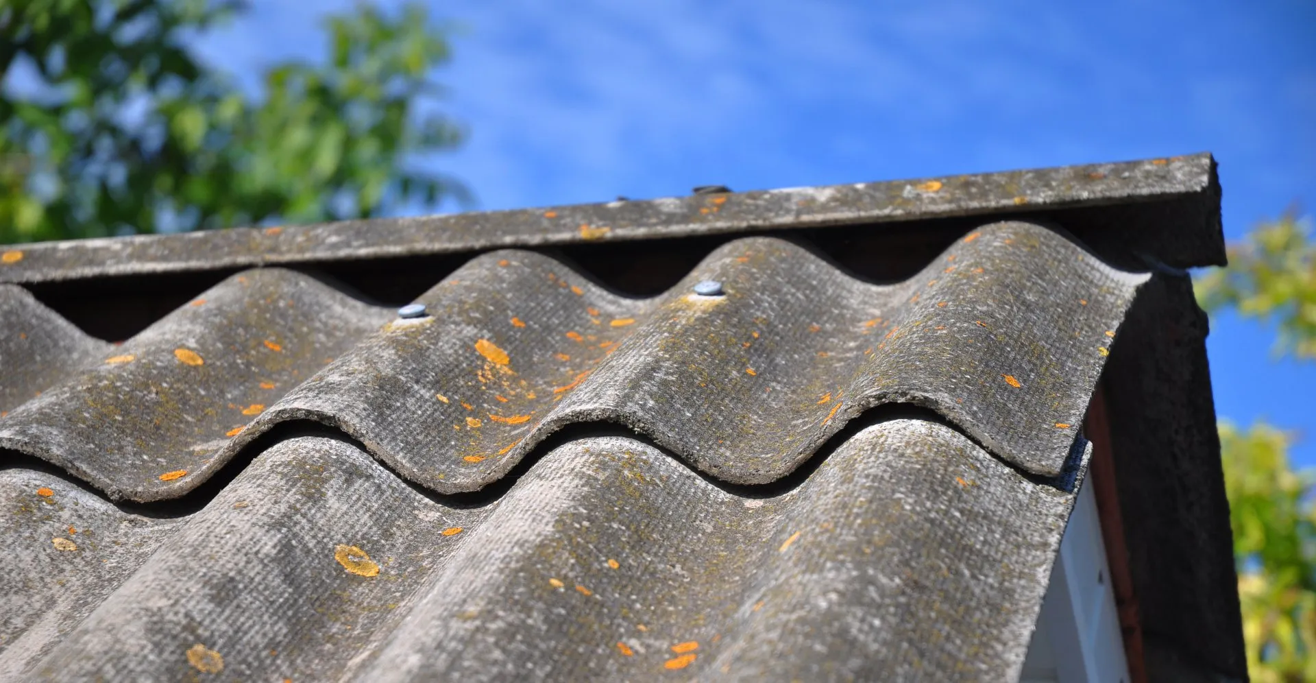 Professional asbestos roof removal
